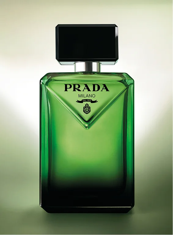 PARADIGME EDP